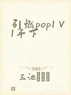 引燃pop1∨1年下