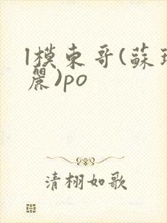 l模东哥(苏玛丽)po