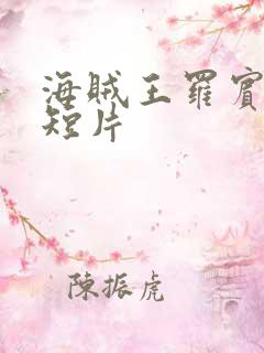 海贼王罗宾被h短片