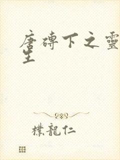 唐砖下之灵域双生