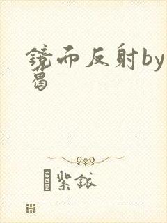 镜面反射by九葛