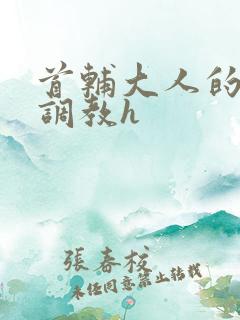 首辅大人的花式调教h