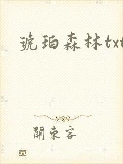 琥珀森林txt