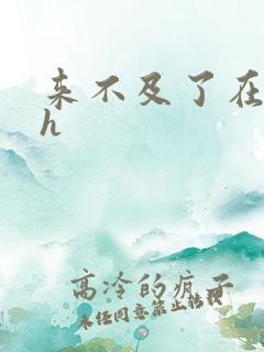 来不及了在车ch