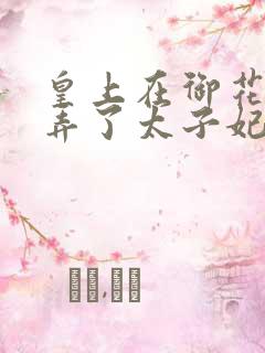 皇上在御花园c弄了太子妃