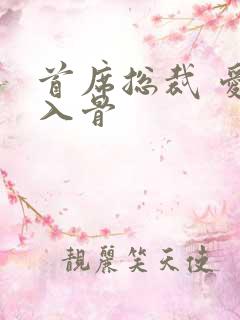 首席总裁 爱你入骨