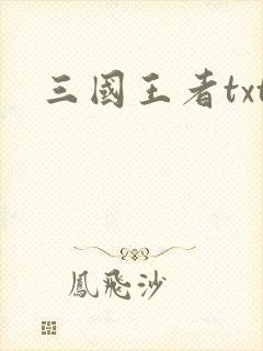 三国王者txt