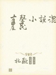 有声小说混世小农民