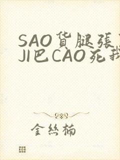 SAO货腿张开JI巴CAO死我