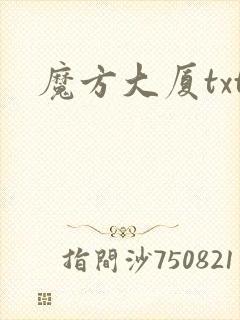 魔方大厦txt
