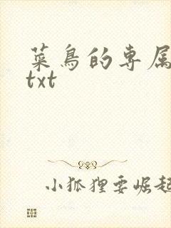 菜鸟的专属大神txt