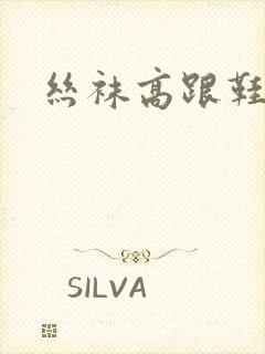 丝袜高跟鞋小说