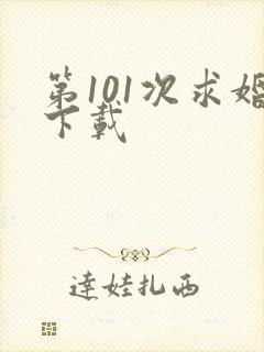 第101次求婚下载