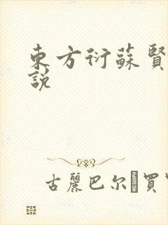 东方衍苏贤儿小说