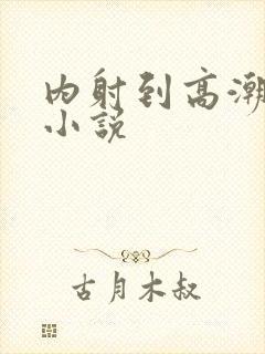 内射到高潮的H小说