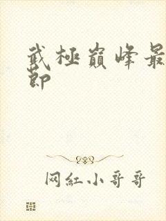 武极巅峰最新章节