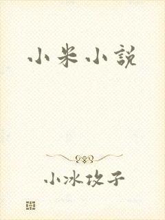 小米小说