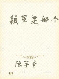 颖军是哪个军阀