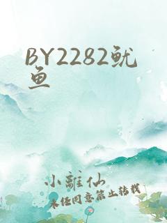 BY2282鱿鱼