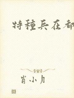 特种兵在都市