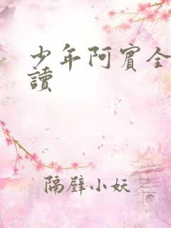 少年阿宾全本阅读