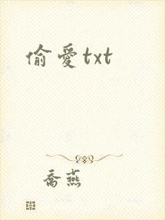 偷爱txt