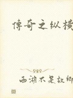 传奇之纵横法师