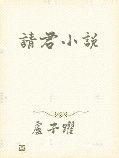 请君小说