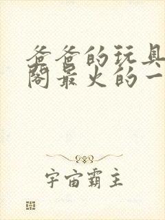 爸爸的玩具笔趣阁最火的一句