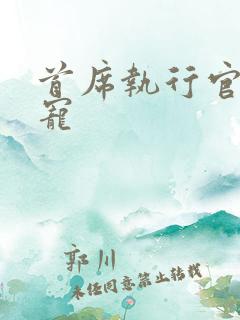 首席执行官的绝宠