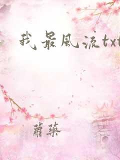 我最风流txt