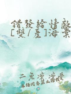 错发给情敌之后[双/产]海棠