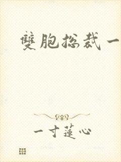 双胞总裁一个妻