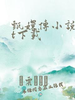 甄嬛传小说txt下载