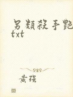 另类杀手艳福星txt