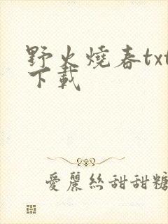 野火烧春txt下载