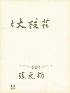 t大校花