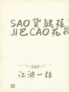 SAO货腿张开JI巴CAO死我