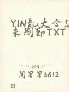 YIN乱大合集未删节TXT下载