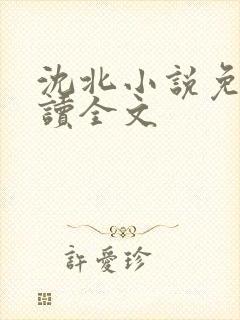 沈北小说免费阅读全文