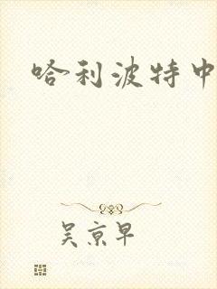 哈利波特中文版