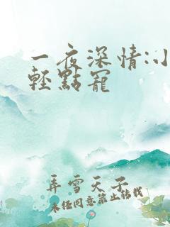 一夜深情:小叔轻点宠