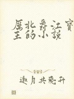 厉北爵江宝宝男主的小说