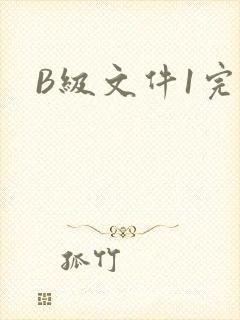B级文件1完整