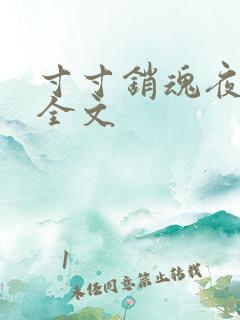 寸寸销魂夜春光全文