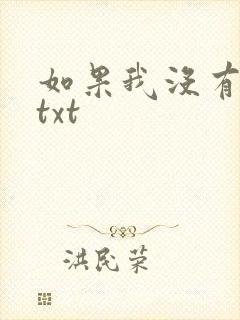 如果我没有爱过txt