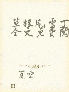 草根风云丁长生全文免费阅读