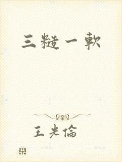 三糙一软