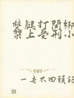 双腿打开绑在刑架上受刑小说