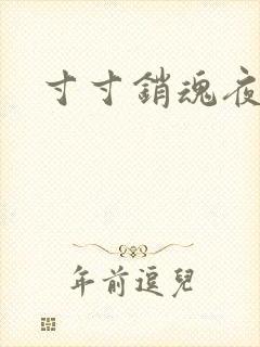 寸寸销魂夜春光